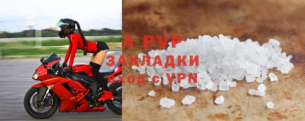 стаф Бронницы