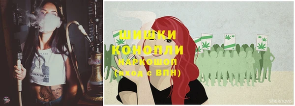стаф Бронницы