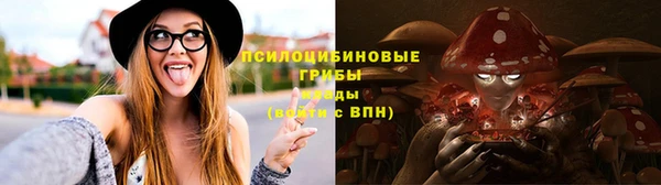 mdma Бородино