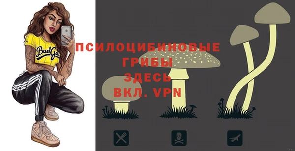 mdma Бородино