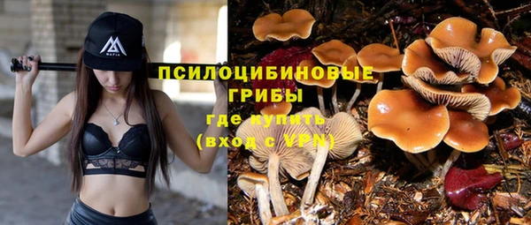 стаф Бронницы