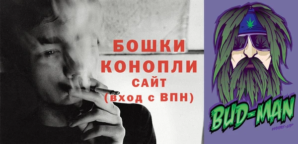 стаф Бронницы