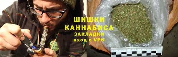 стаф Бронницы