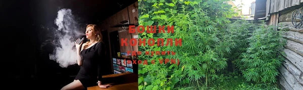 стаф Бронницы