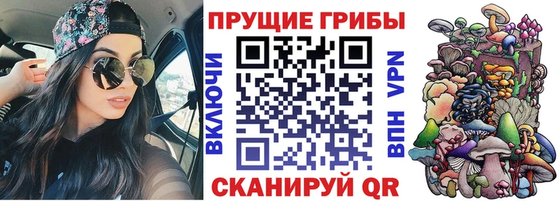 Галлюциногенные грибы Magic Shrooms  mega как войти  Северск  где найти  